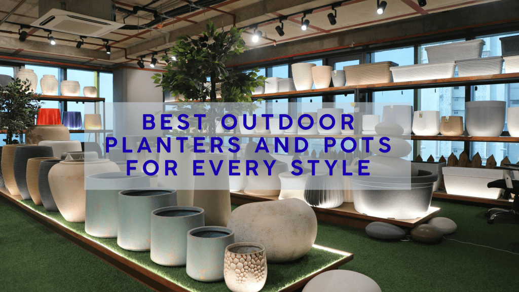 Best Outdoor Planters and Pots for Every Style